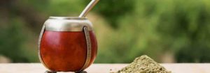 yerba maté